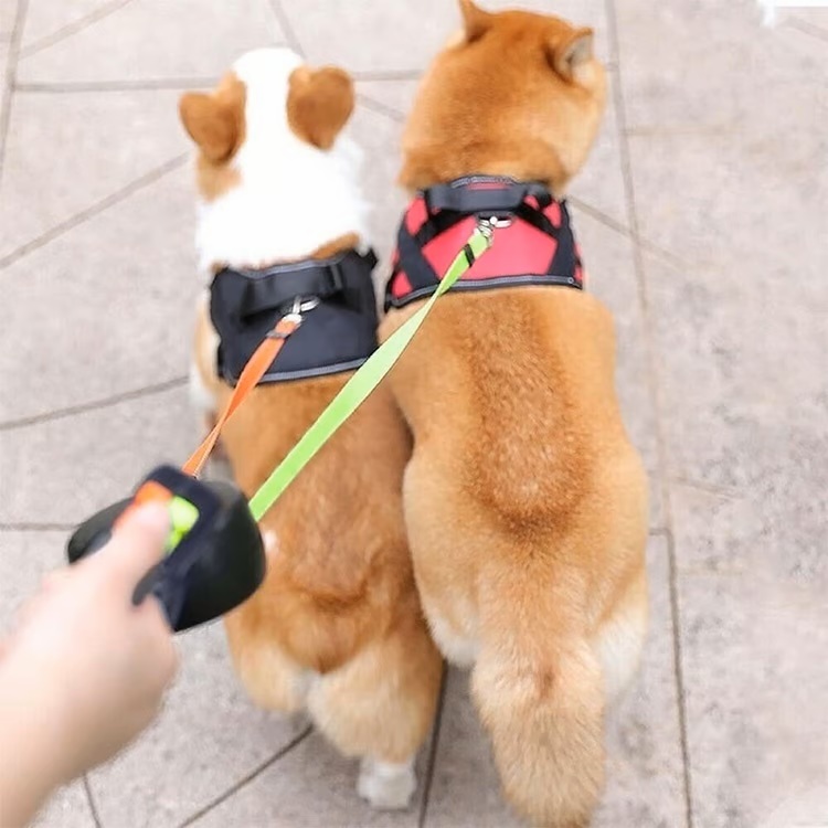 Dual Dog Leash with Tangle-Free swivel