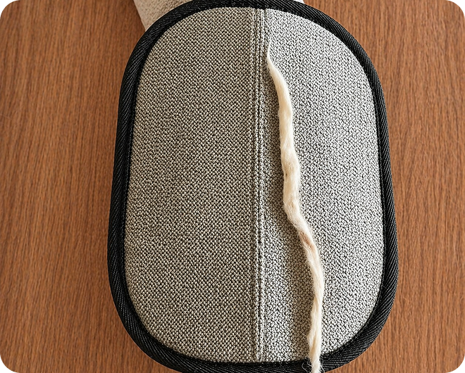 Schritt zwei wischen und Haustierhaare sammeln