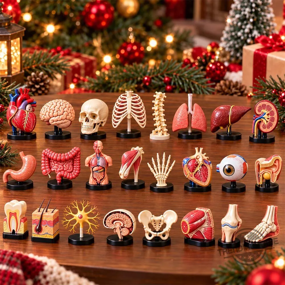 Anatomy Mini Organ & Skeleton Advent Calendar 2026 - See the Miniature Details