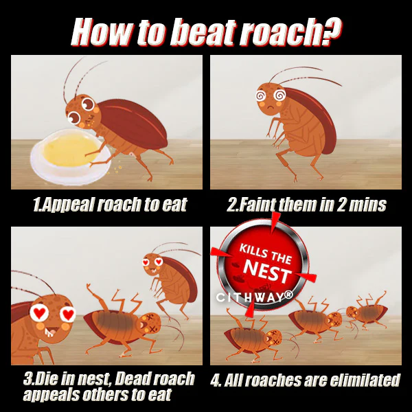 QUICKATCH ROACH ACE BAIT STATION