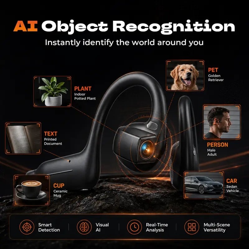 AI object and environment recognition examples