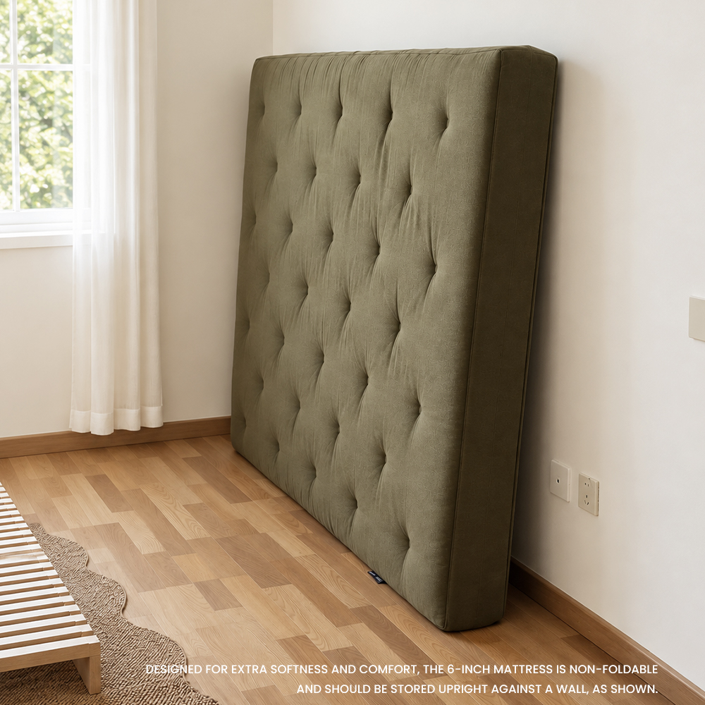 Classic Floor Mattress (new) 10.15