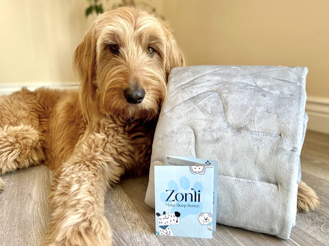 Micah with zonli cooling pet mat