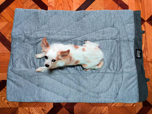 dog sitting on z-magic cooling pet mat