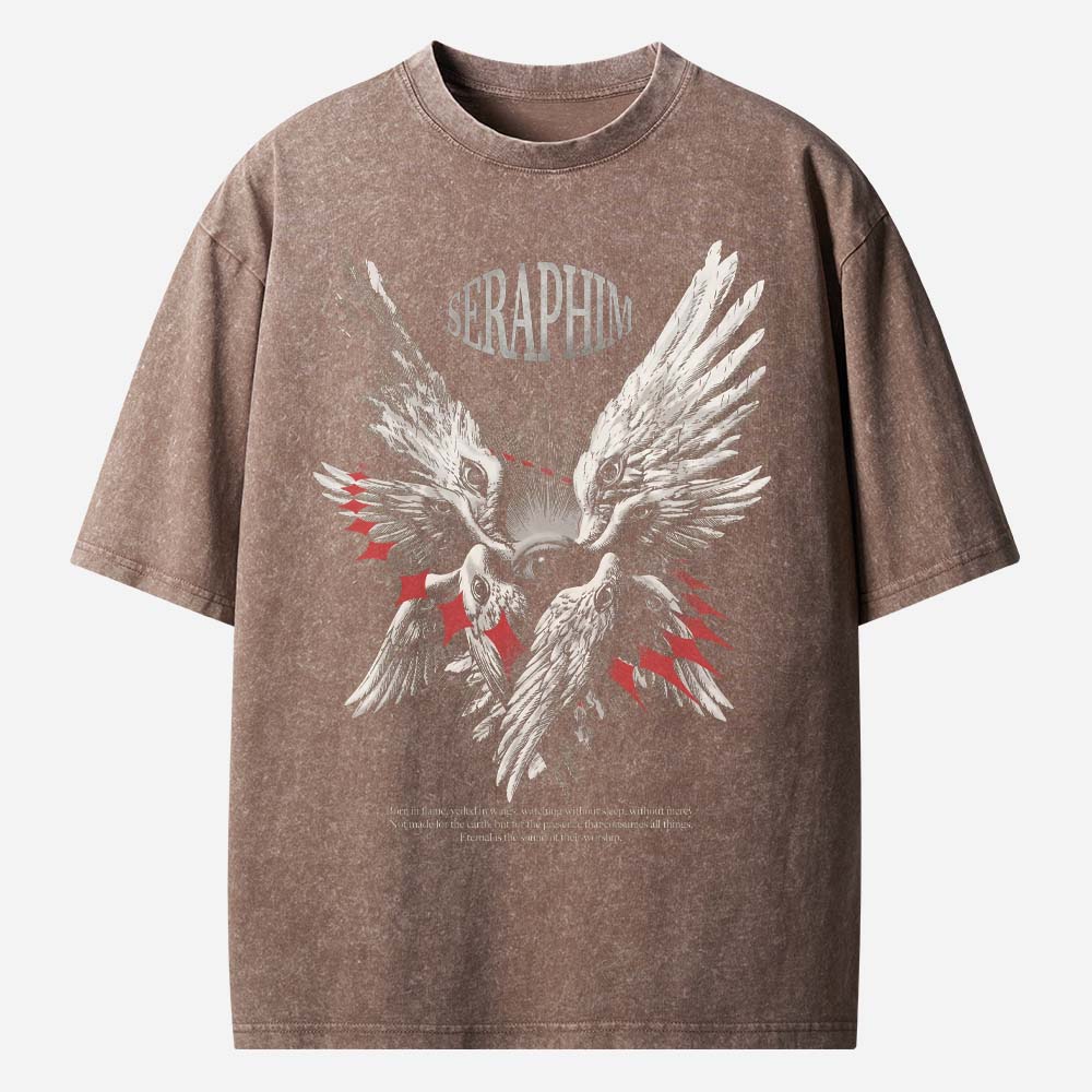Seraphim Christian Washed T-Shirt