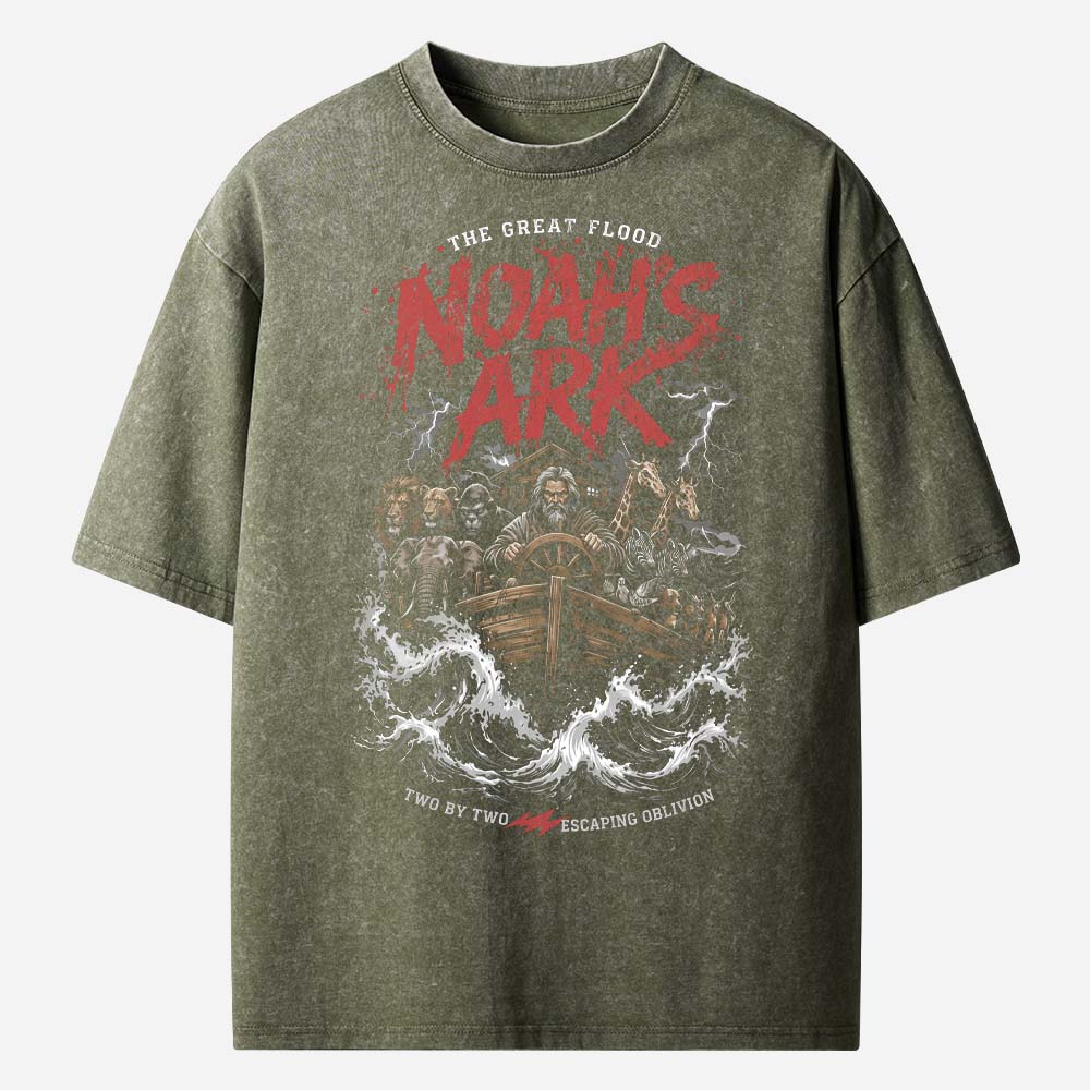 Noah’s Ark Christian Washed T-Shirt