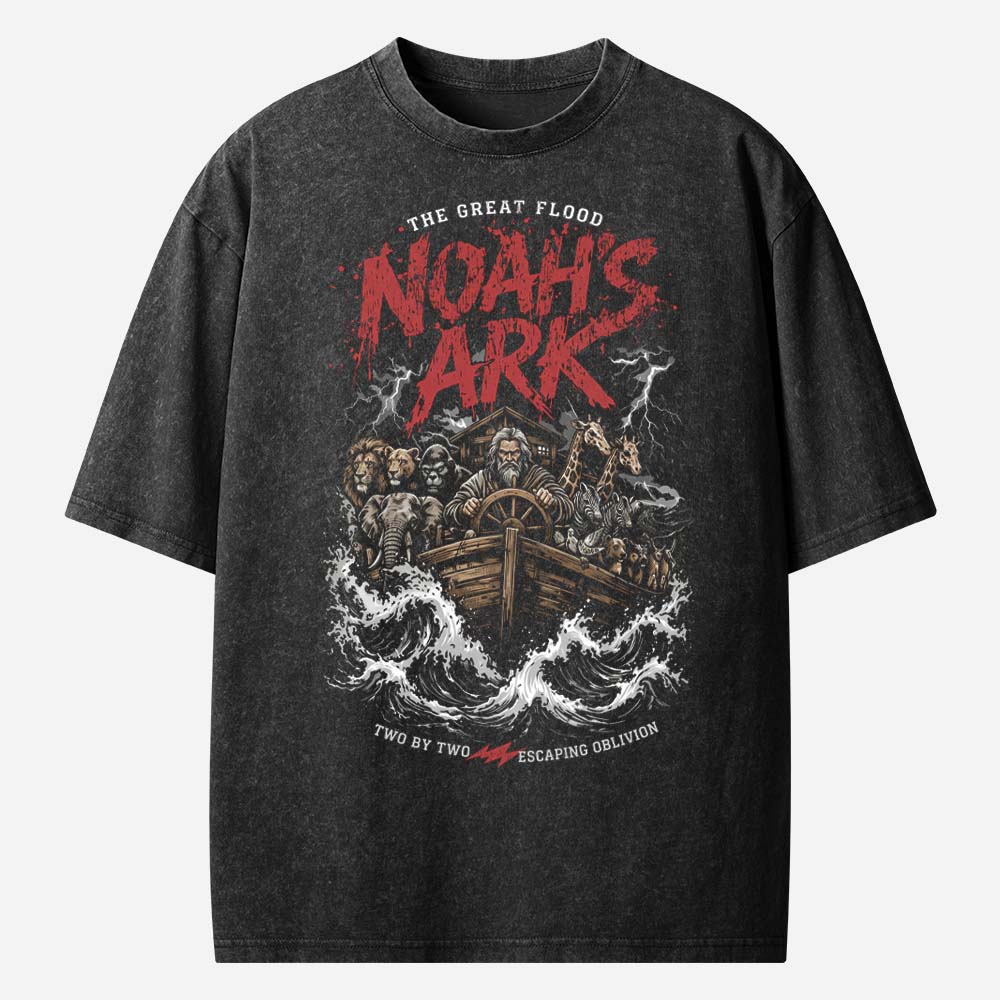 Noah’s Ark Christian Washed T-Shirt