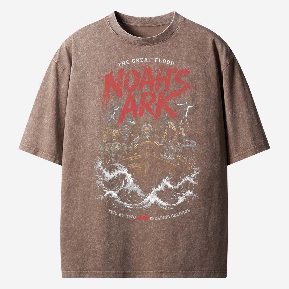 Noah’s Ark Christian Washed T-Shirt