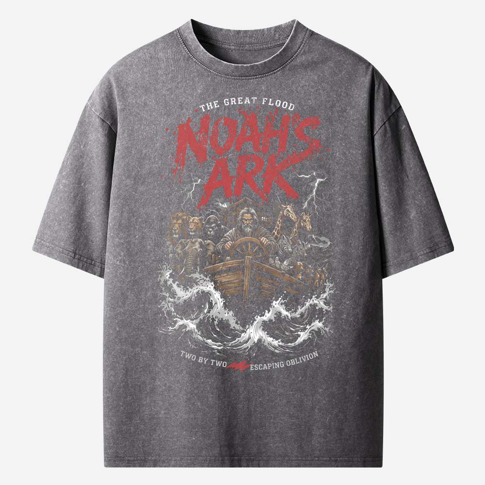 Noah’s Ark Christian Washed T-Shirt