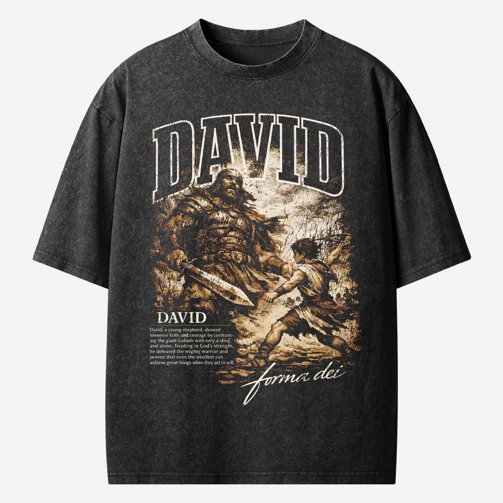 David Bible Warrior Christian Washed T-Shirt
