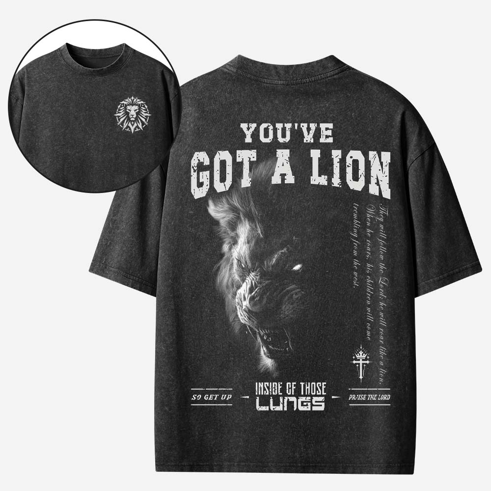 You Have Got A Lion Christian Washed T-Shirt
