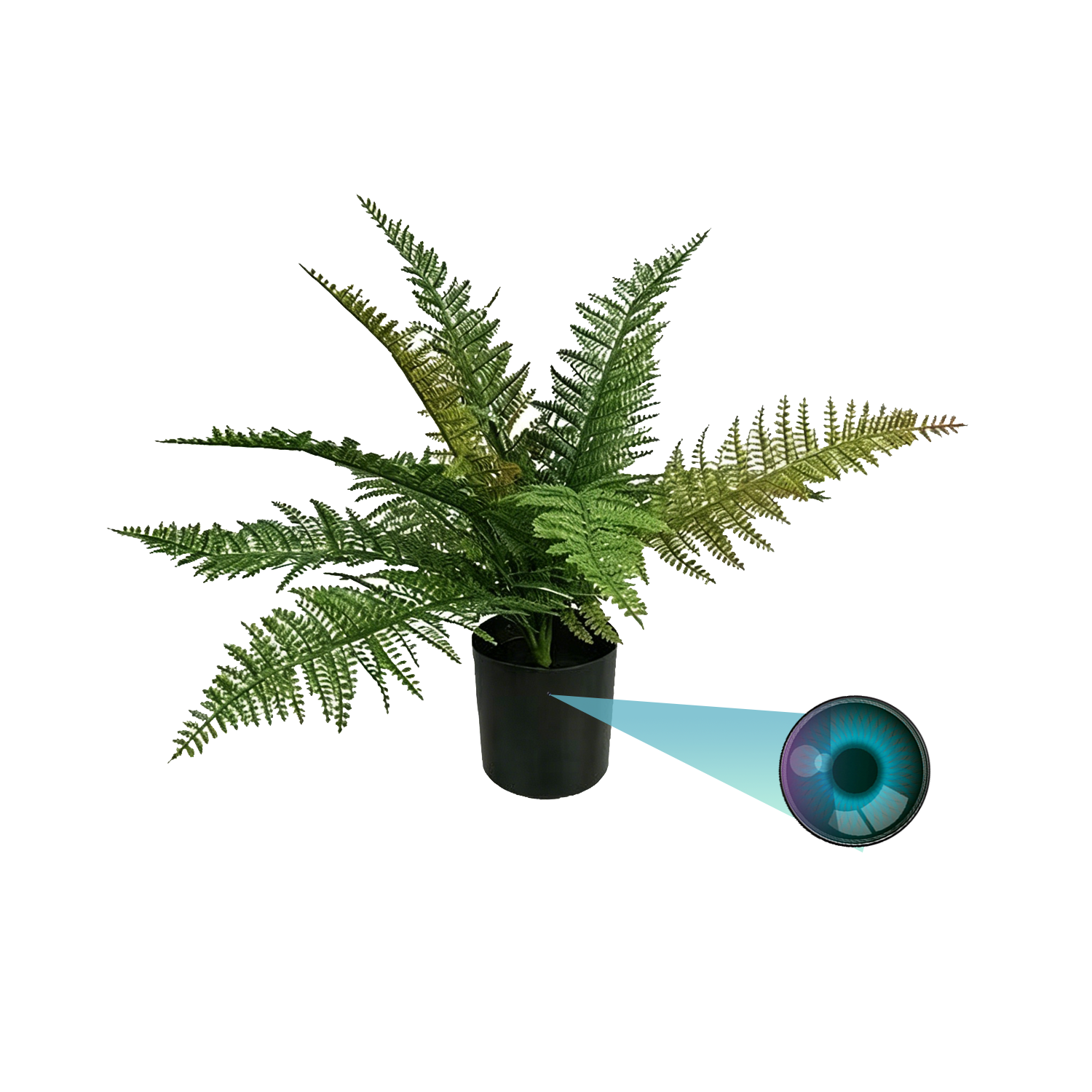 Potted Plant Hidden Camera – Always Watching, Never Seen | 24/7 Real-Time Monitoring