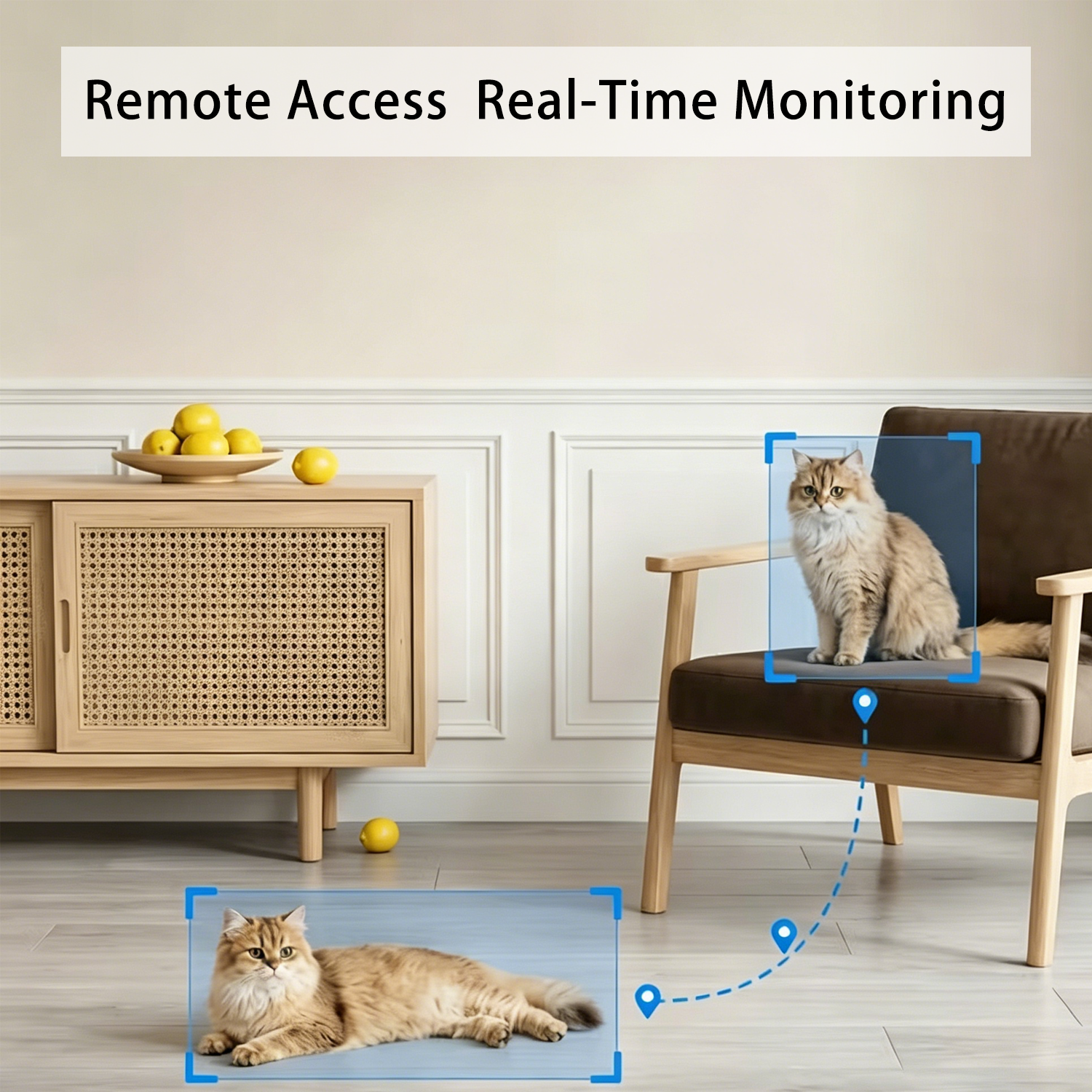 Router Hidden Camera – Wireless WiFi, Real-Time Monitoring, Home & Office