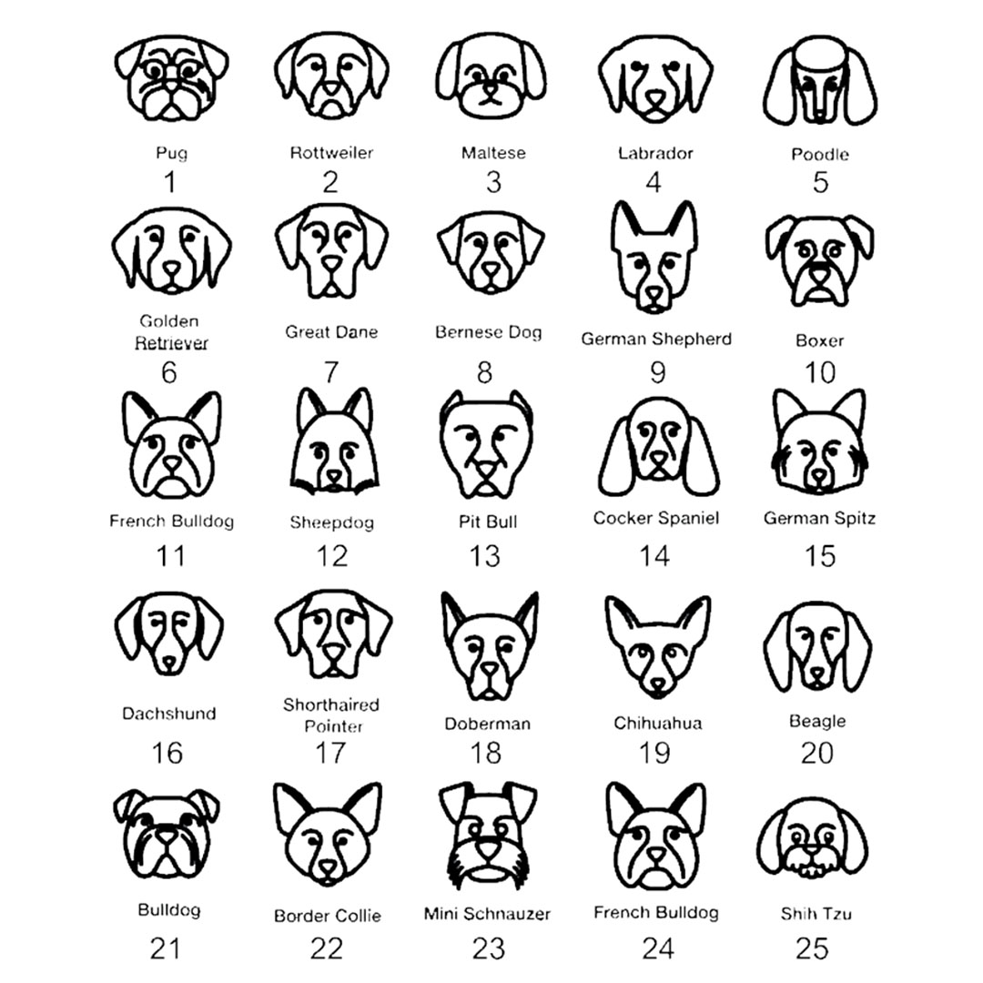 Pet dog name ring