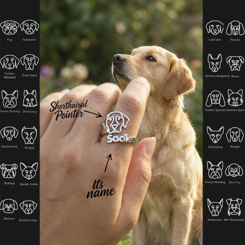 Pet dog name ring