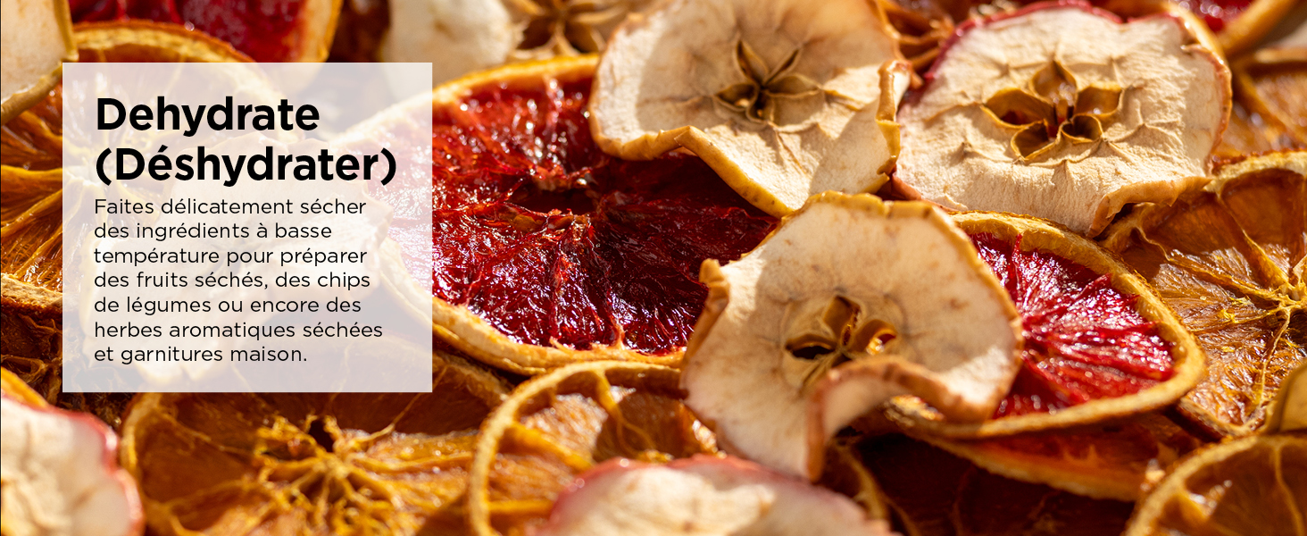 Ninja Air Fryer Dual Zone