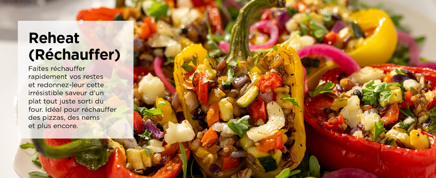 Ninja Air Fryer Dual Zone