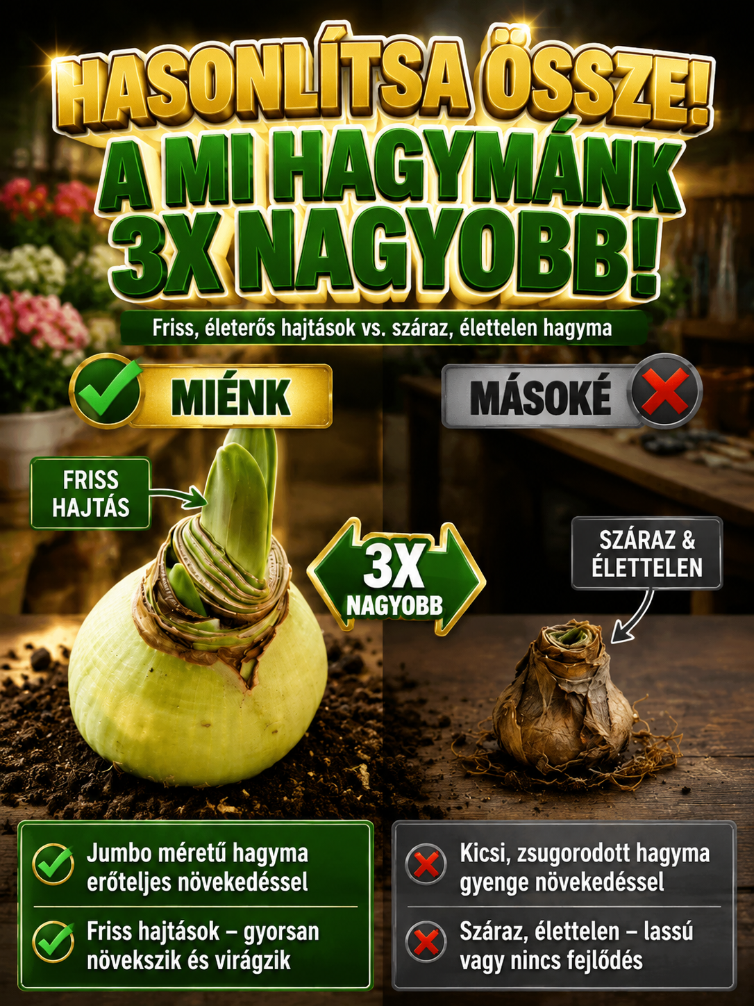 2d1f89f3-9f42-4d9e-b90f-bc0a111046c2.png