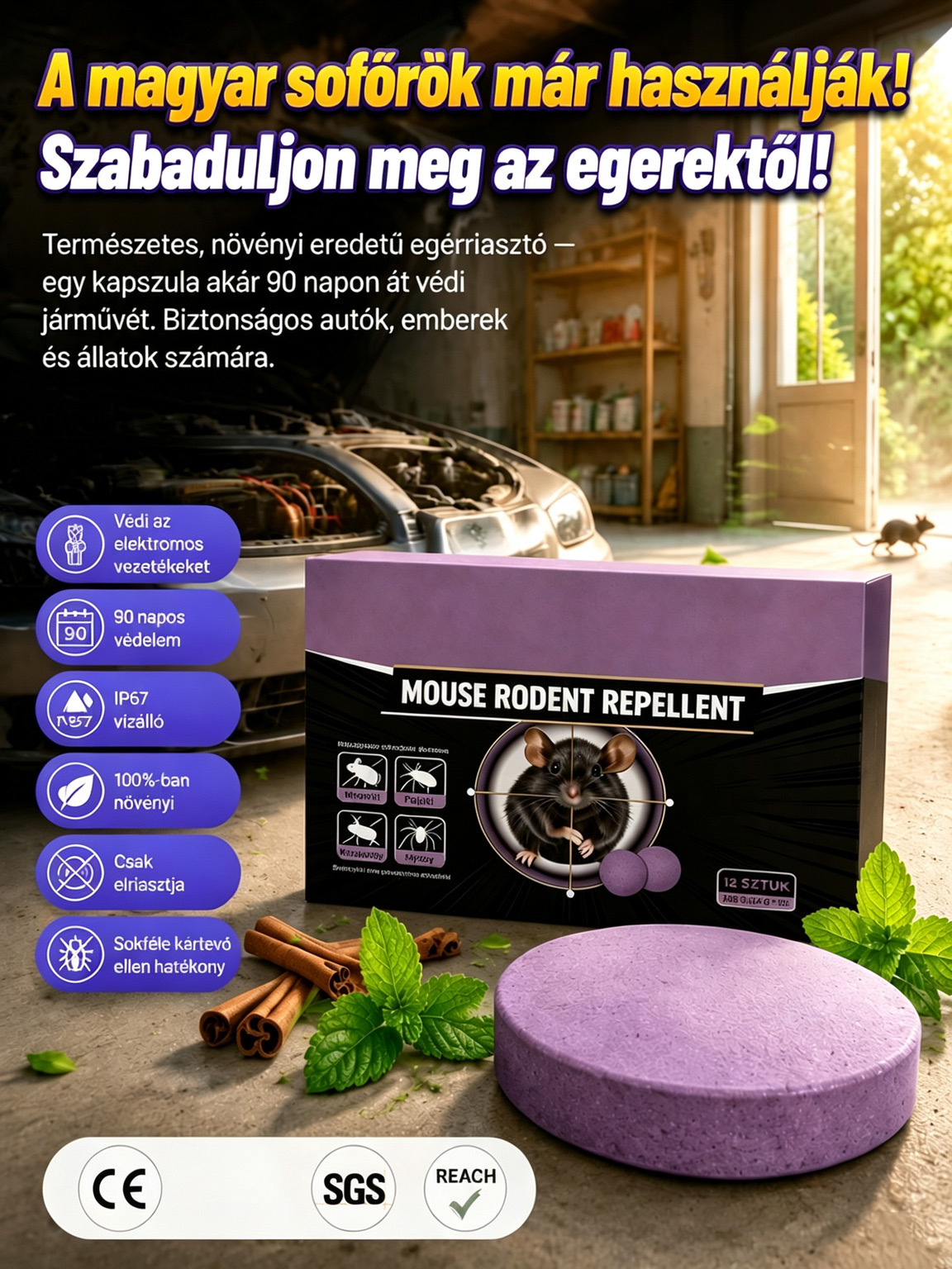 👍[50% AKCIÓ] 100% Növényi Rágcsálóűző – Biztonságos Védelem Gyerekek és Háziállatok Mellett