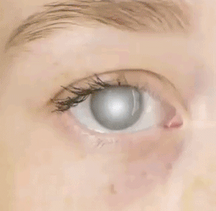 a7fa0adcbc525afb383d026e462436dc.gif
