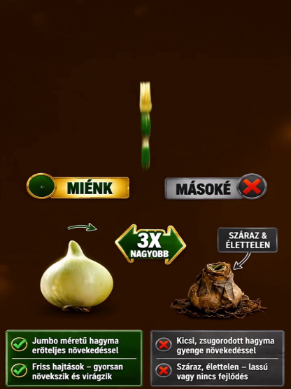 [70% Kedvezmény] Sivatagi Rózsa Hagyma | 90 Napig Öntözés Nélkül Virágzó Egzotikus Növény
