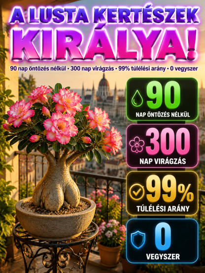 [70% Kedvezmény] Sivatagi Rózsa Hagyma | 90 Napig Öntözés Nélkül Virágzó Egzotikus Növény
