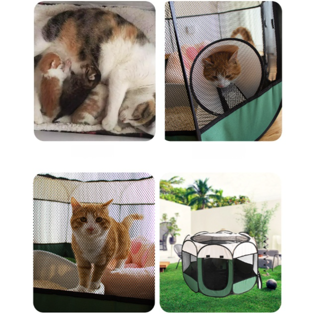 Többfunkciós kutya- és macskaellő