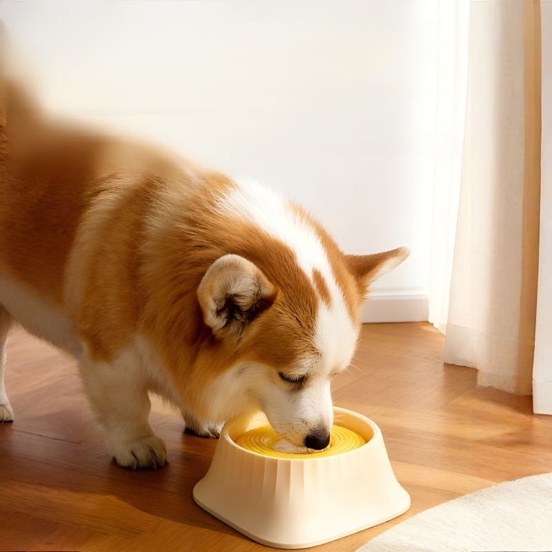 Przeciwrozlewająca się, nieprzemakalna, unosząca się miska dla zwierząt