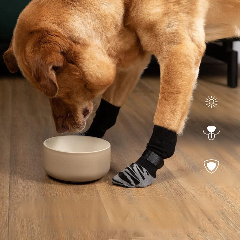 Nowe paskowane skarpetki dla psa