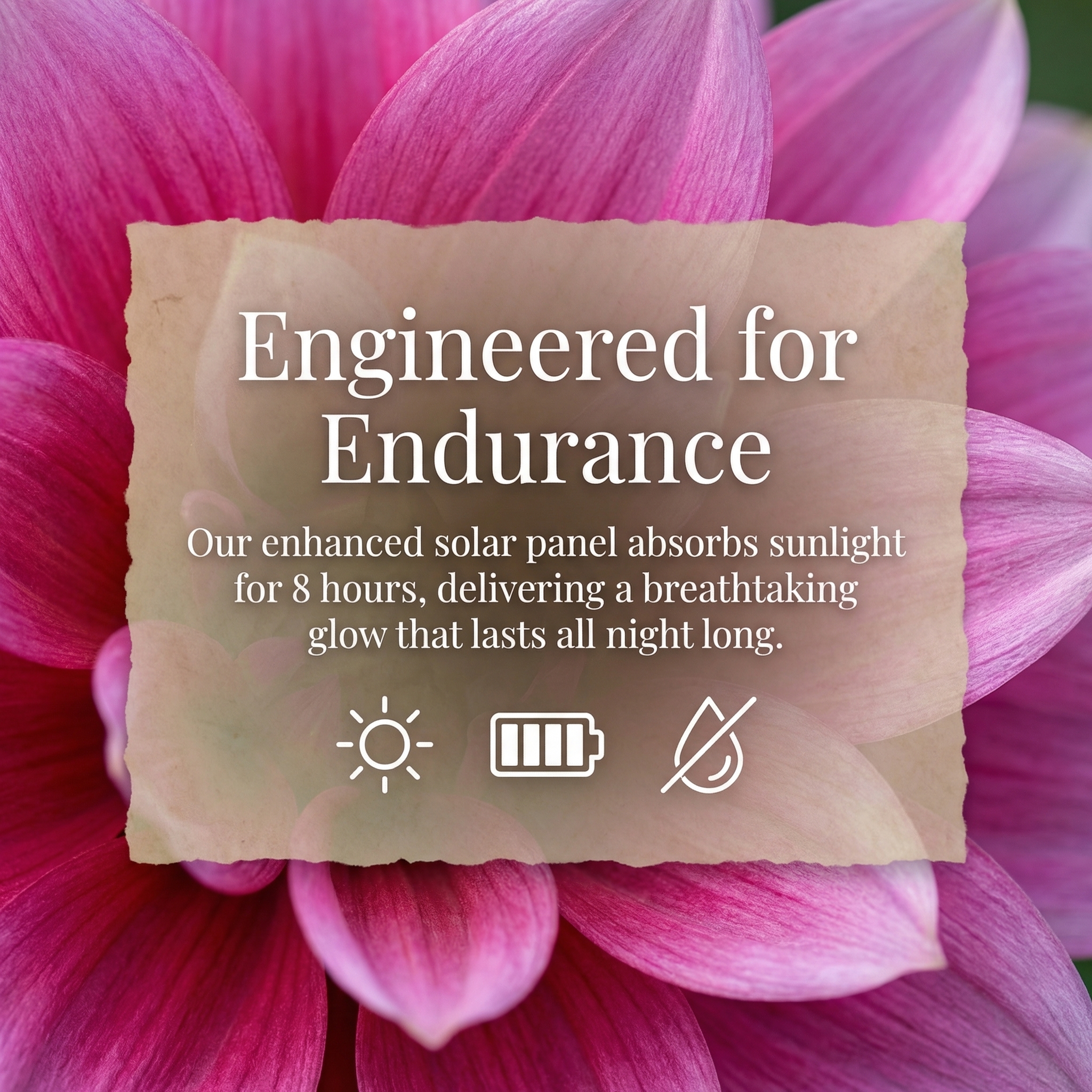 Set of  2 Outdoor Solar Lycoris Flower Garden Lights