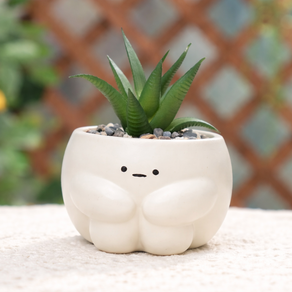 Cute Emotional Planter – Adorable Cartoon Flower Pot for Succulents & Small Plants