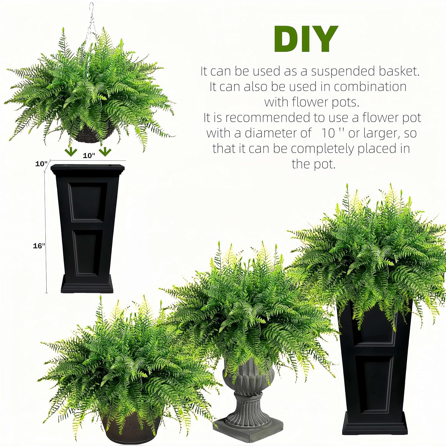 Lush Boston Fern Hanging Basket