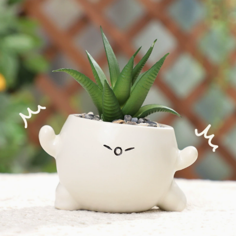 Cute Emotional Planter – Adorable Cartoon Flower Pot for Succulents & Small Plants