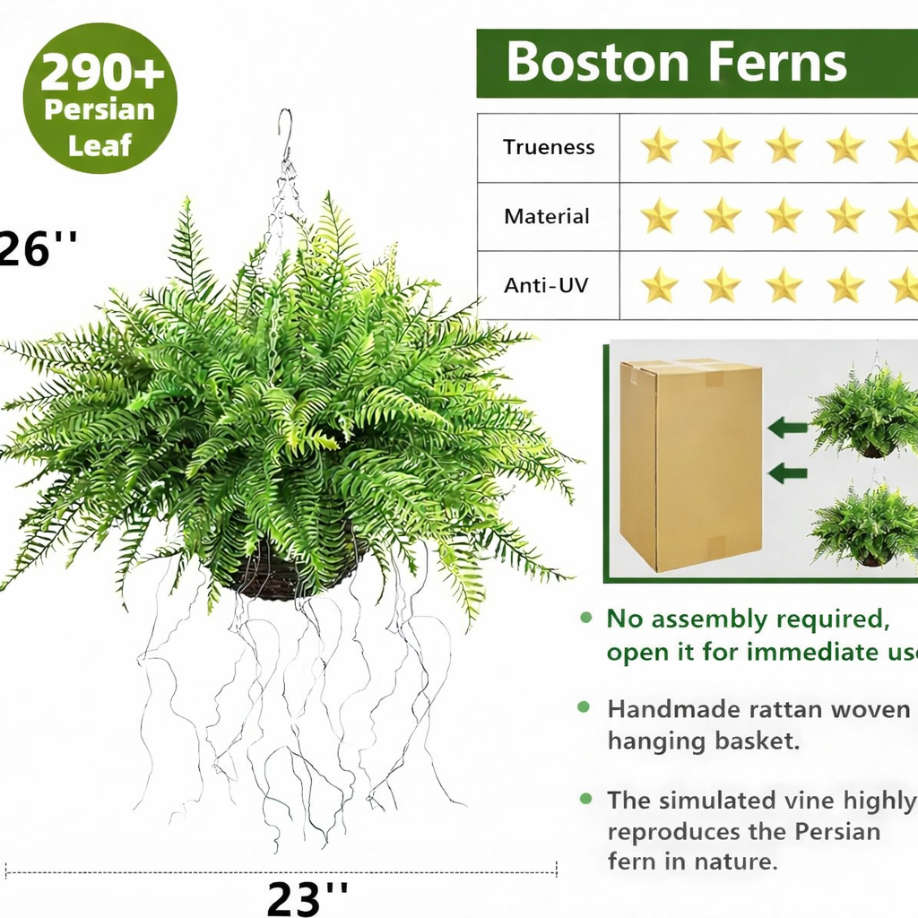 Lush Boston Fern Hanging Basket