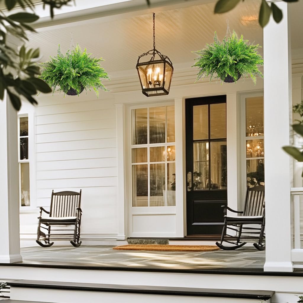 Lush Boston Fern Hanging Basket