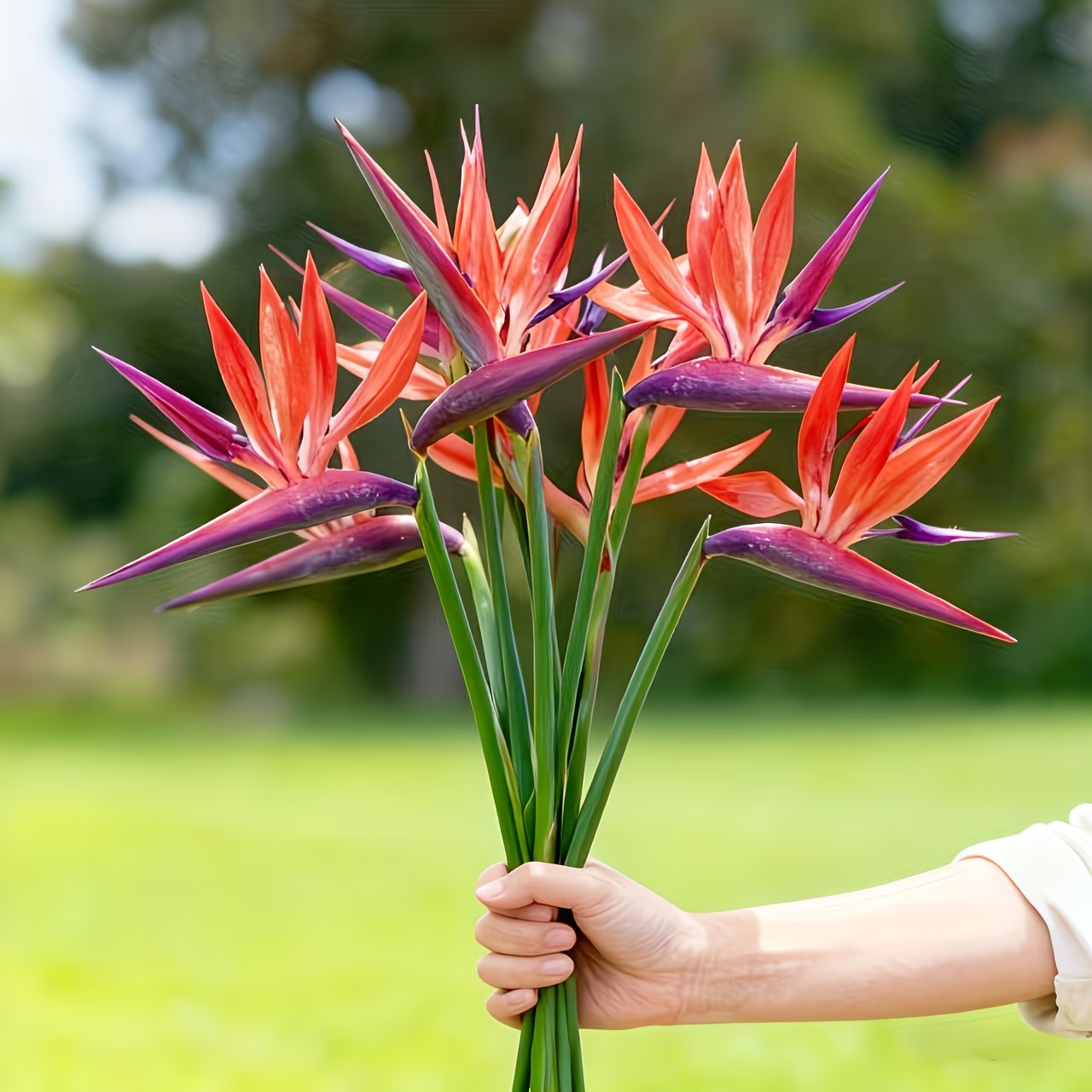 Bird of Paradise Artificial Floral Arrangement