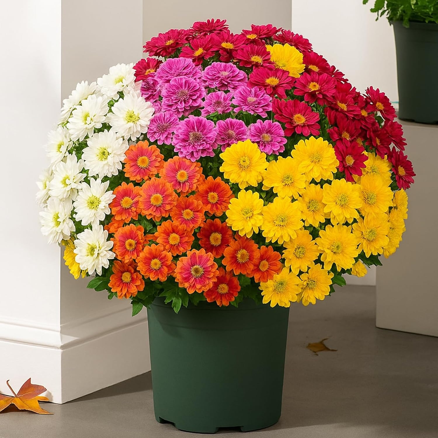 Artificial Outdoor Sunset Mums Flowers - UV resistant, Waterproof, Windproof