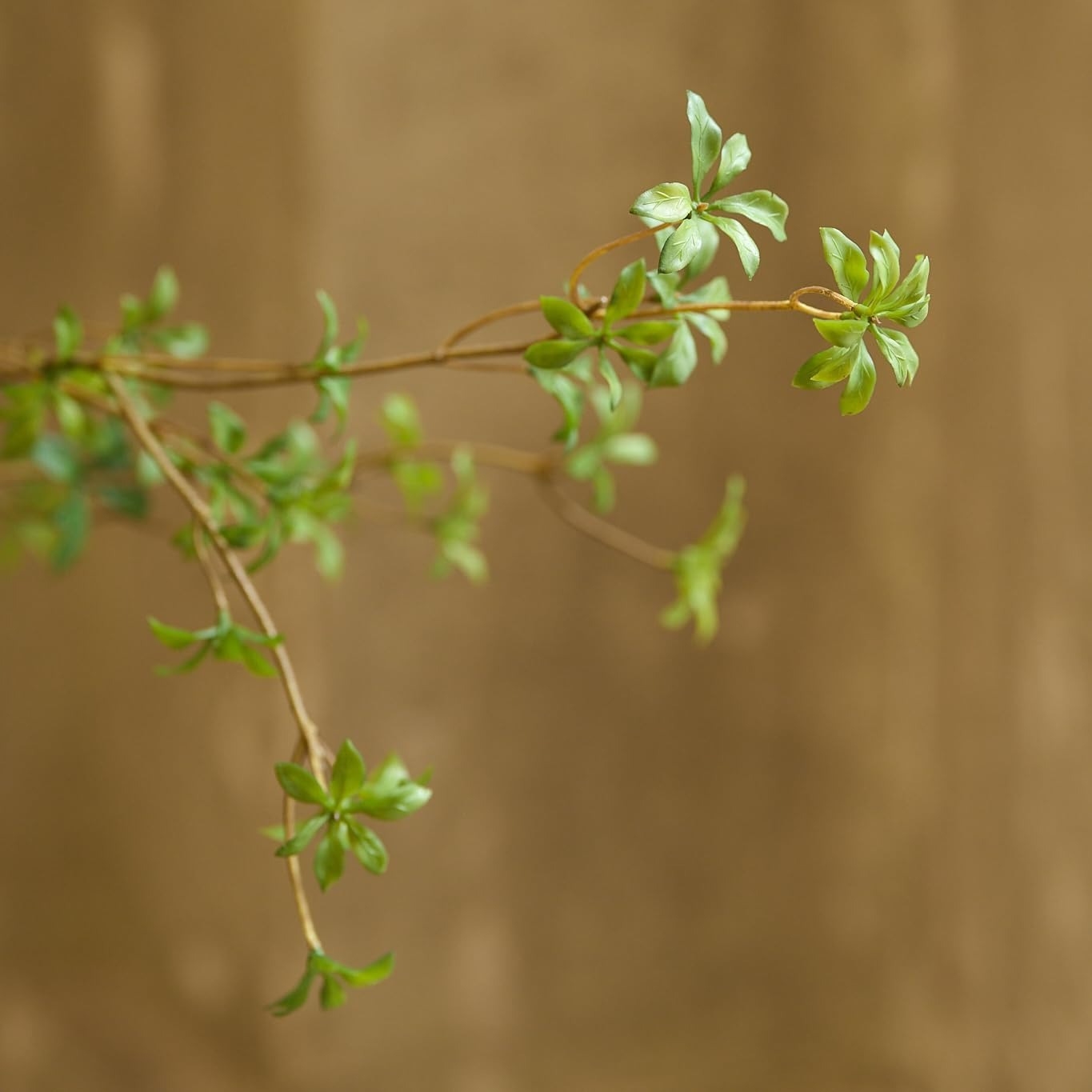 Artificial Greenery Stems – 47” Tall Real Touch Faux Enkianthus Twig Branches for Vase Filler, Home, Office, Wedding & Shop Décor