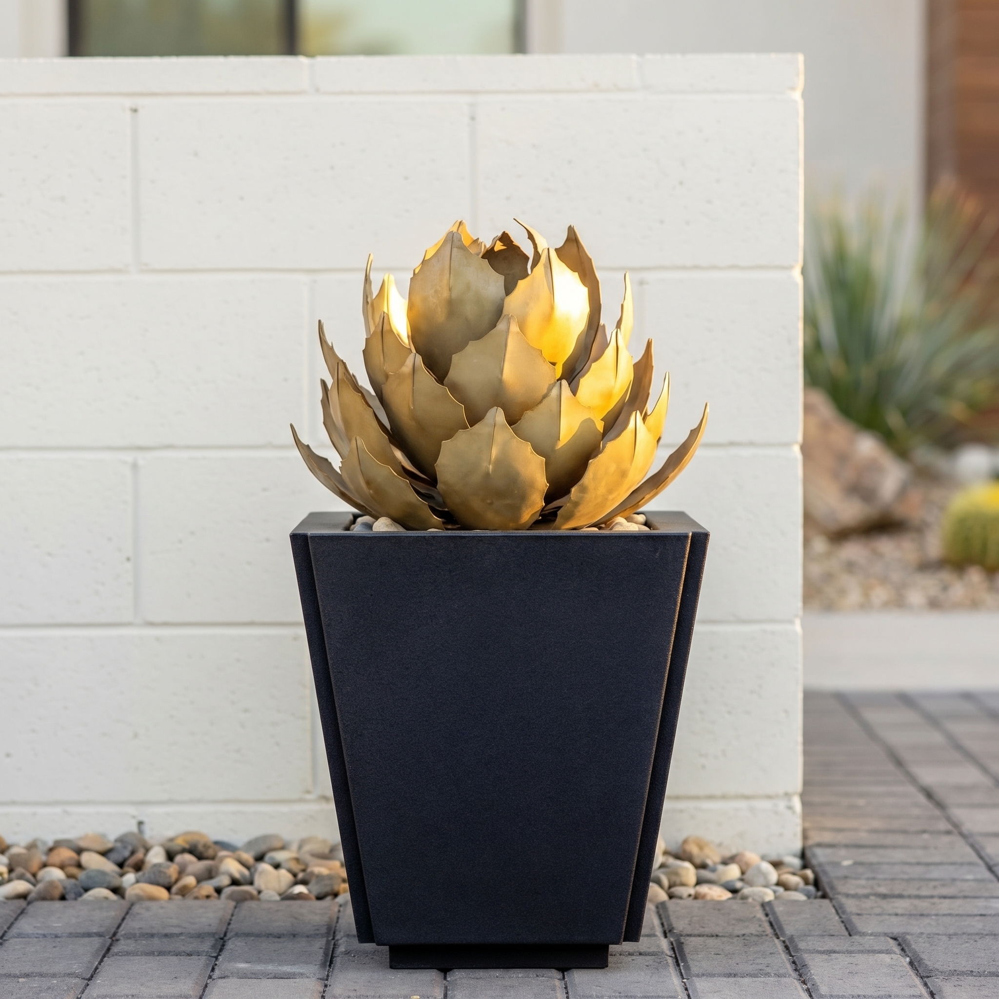 Whale's Tongue Agave