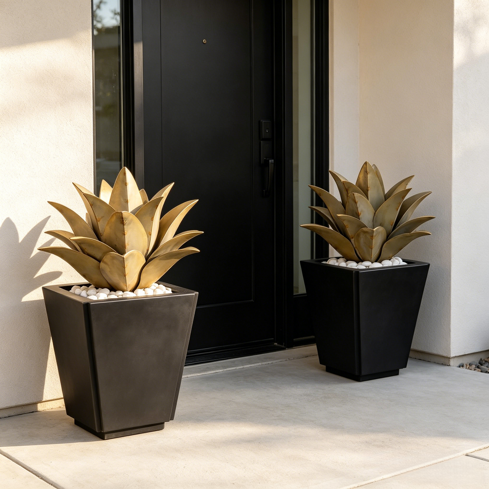 Whale's Tongue Agave