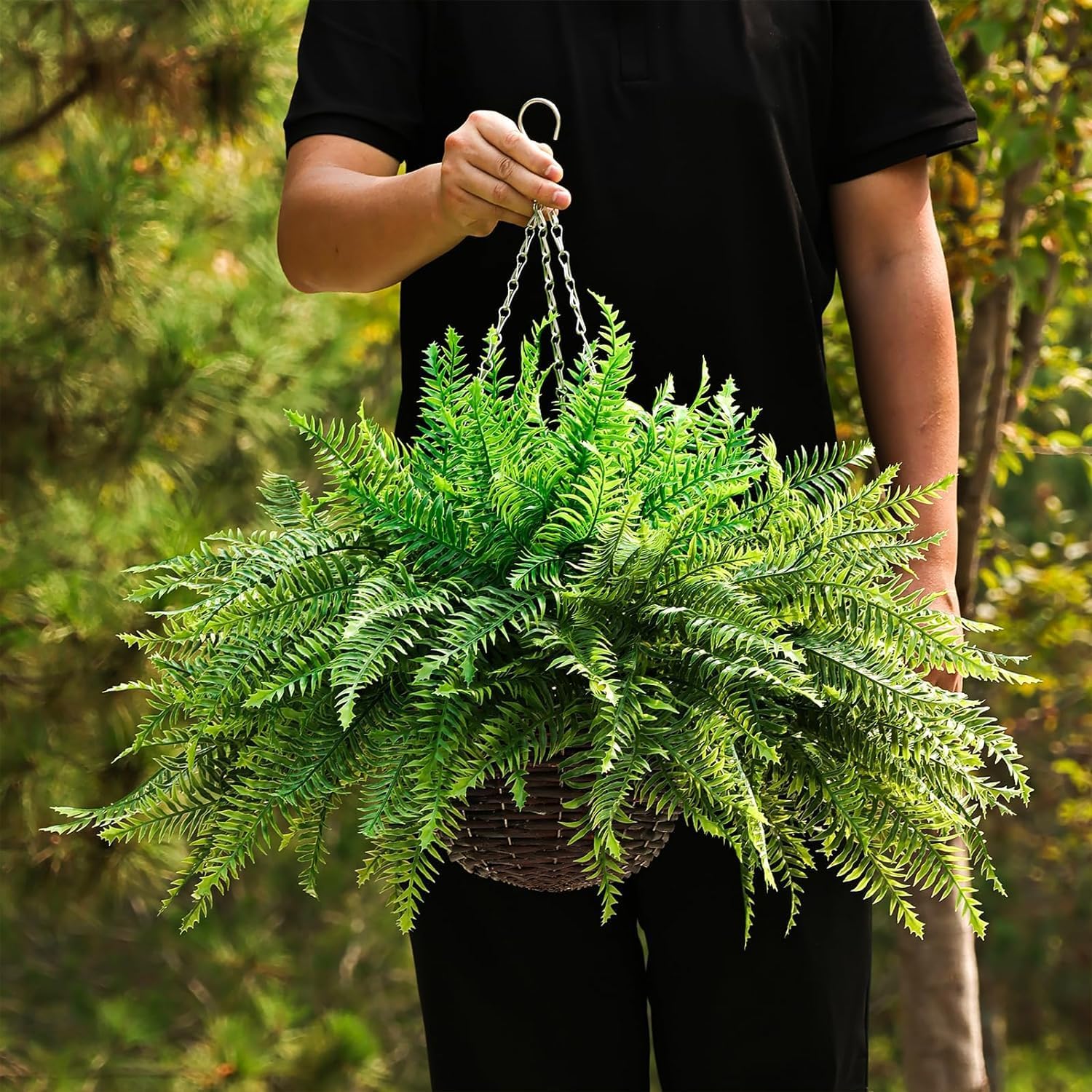 Lush Boston Fern Hanging Basket