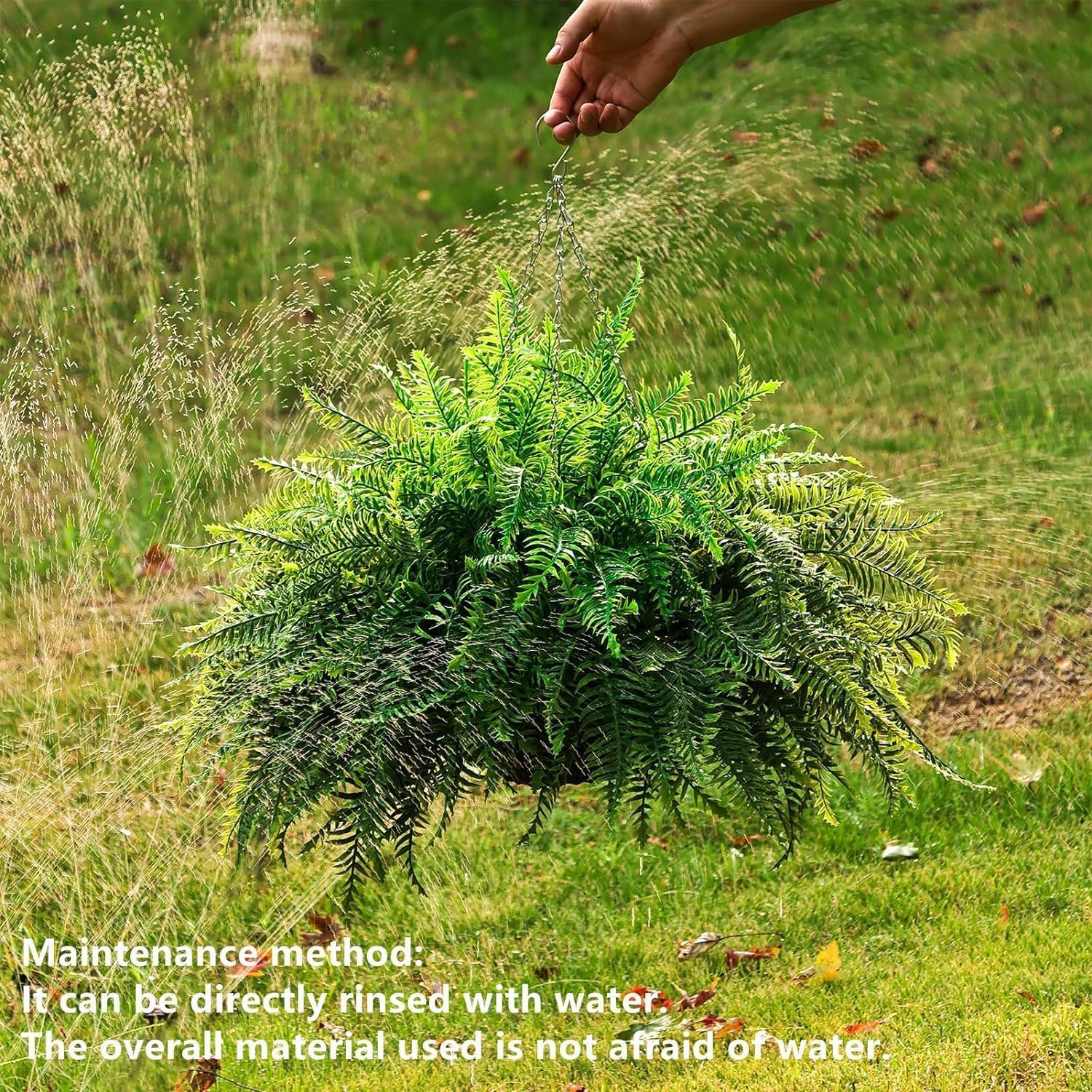 Lush Boston Fern Hanging Basket