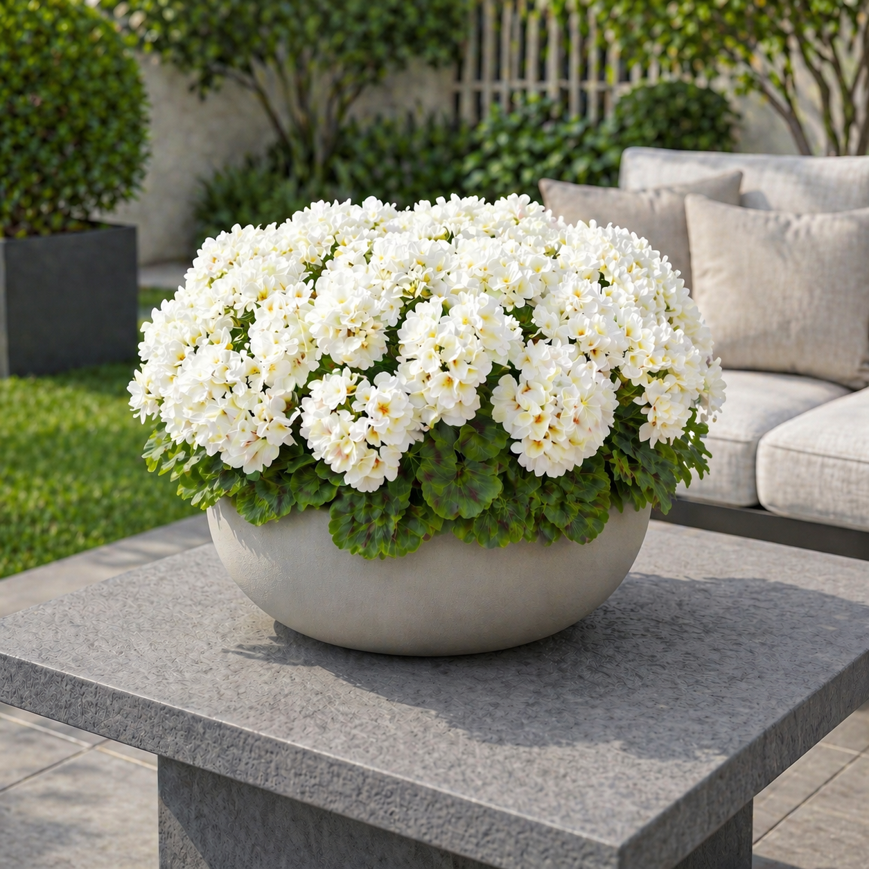 Artificial Begonia Flower Arrangement in Planter – 14.2” Tall Lush Faux Floral Decor for Porch & Patio