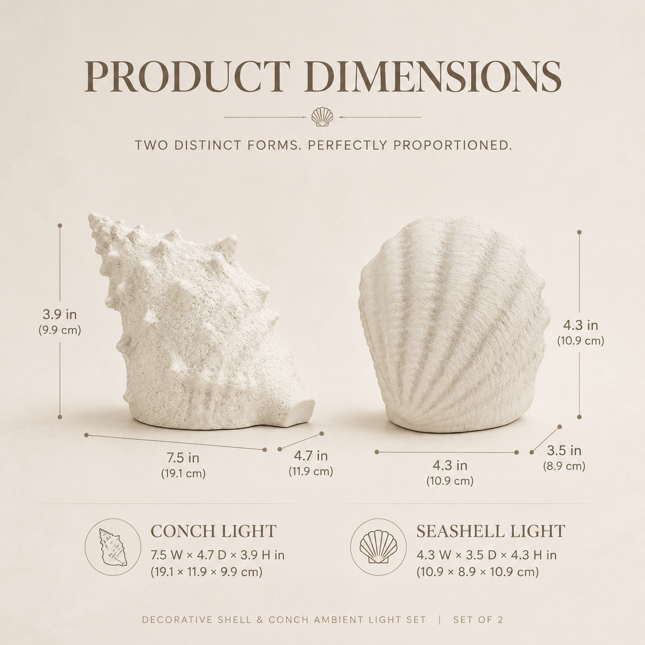 Coastal Afterglow Shell & Conch Light Set
