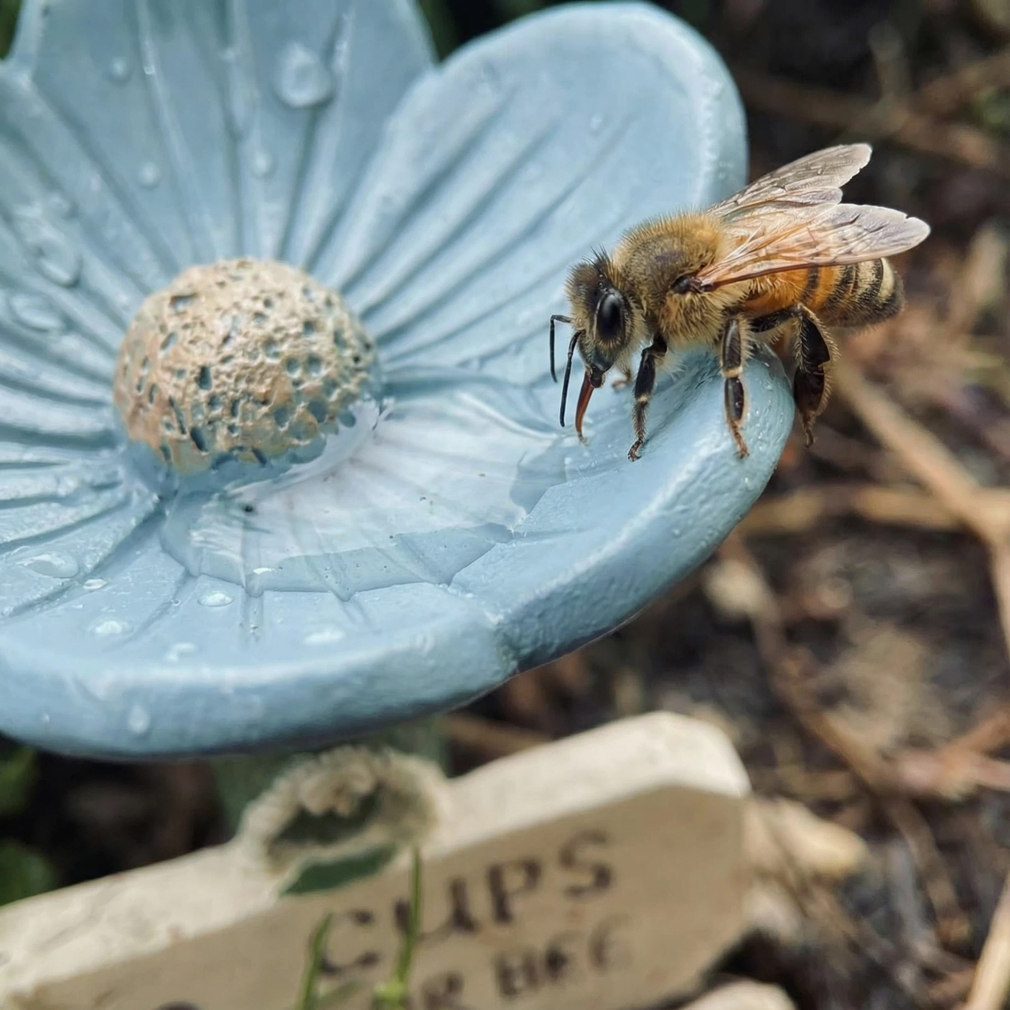 Flower-Shaped Ceramic Bee Watering Station