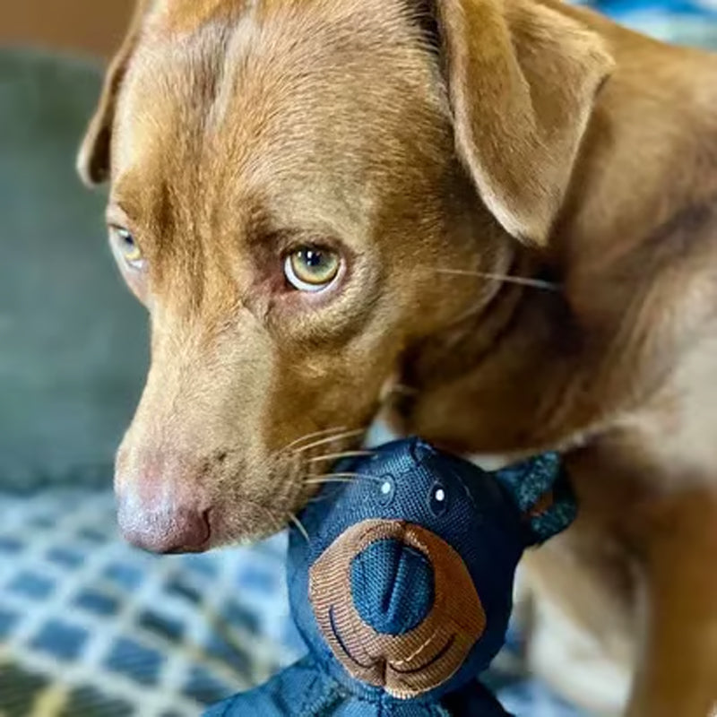 Mighty Bear Pet Toy