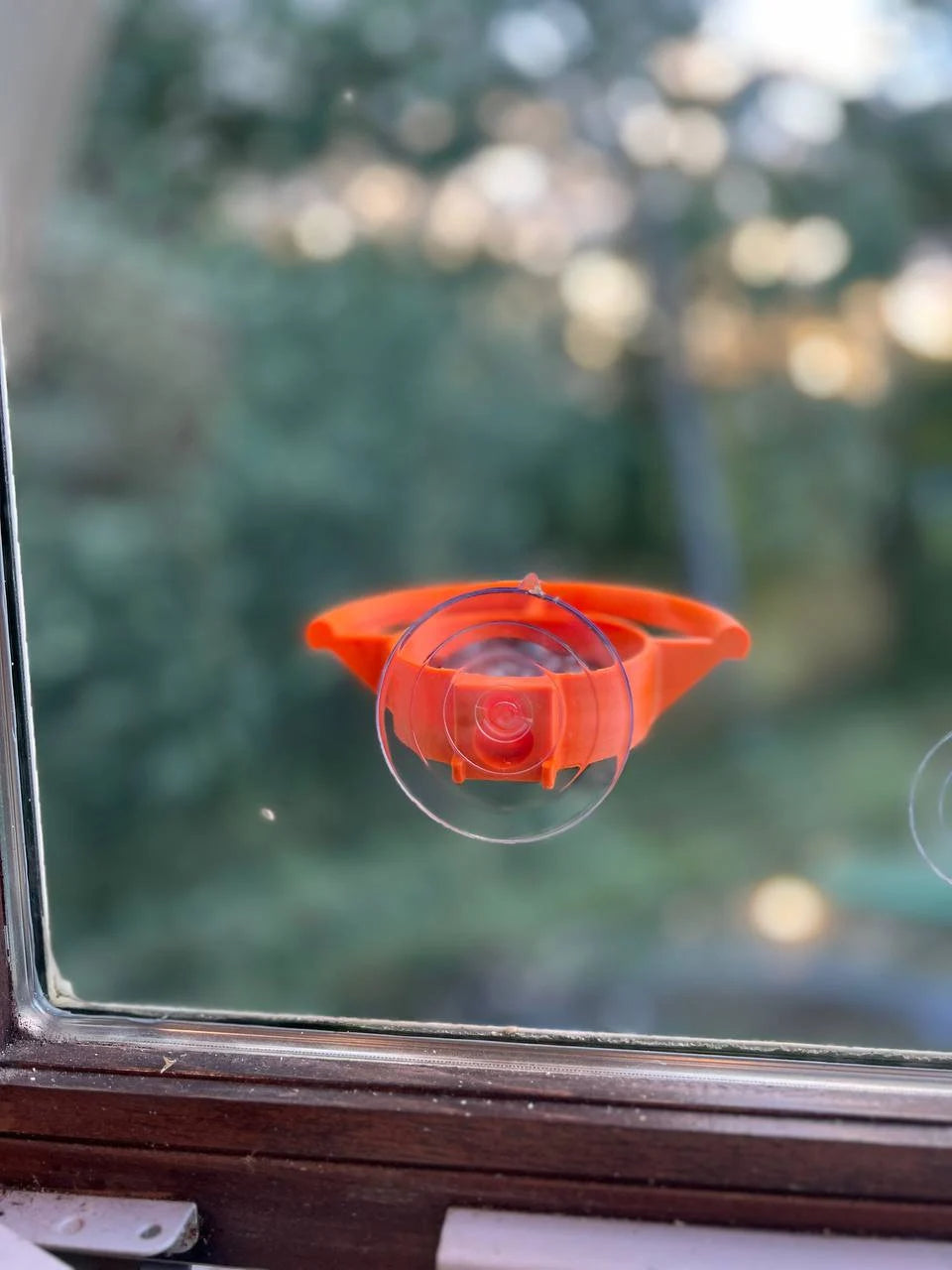Bird Feeder Suction Cup Holder