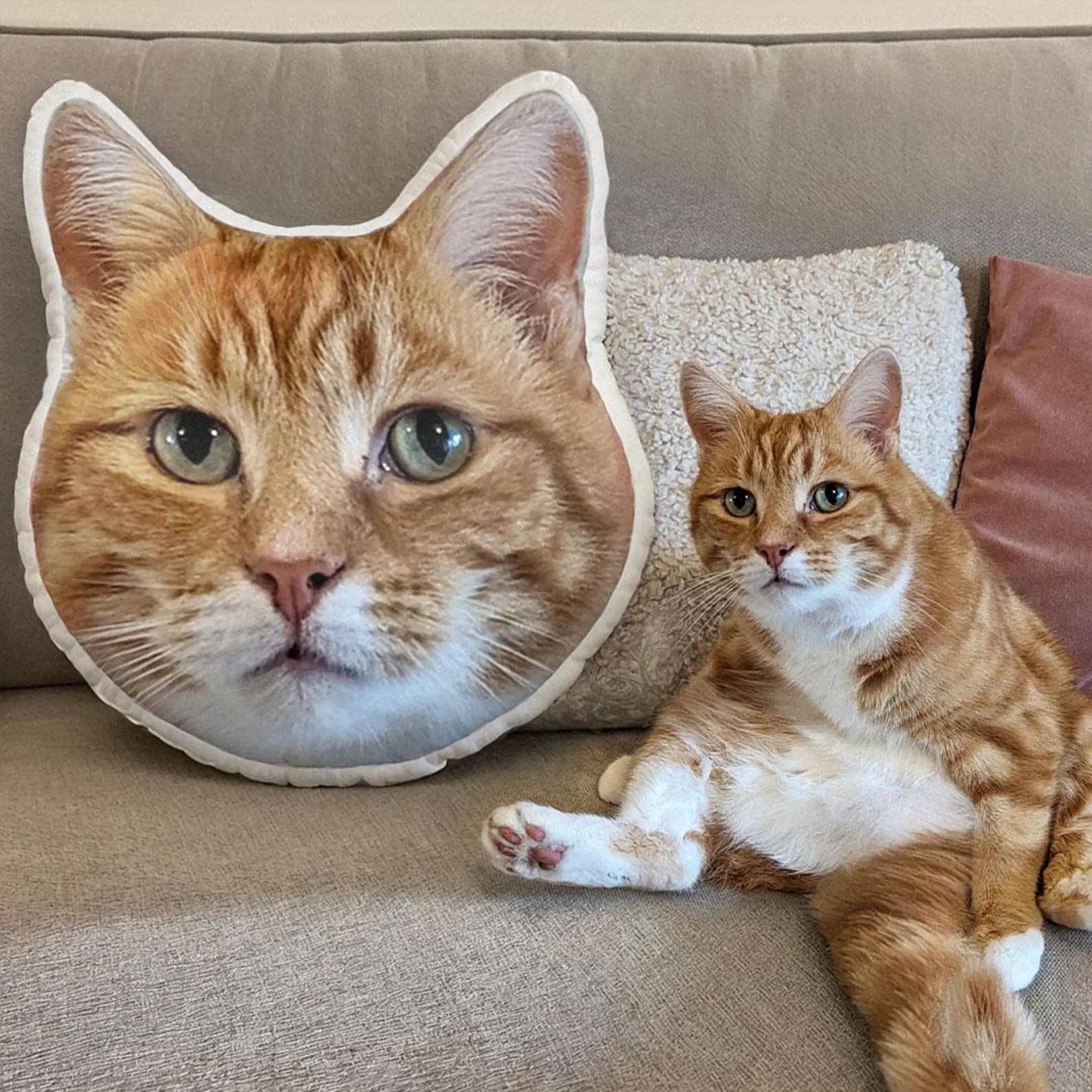 Almohada para Perros y Gatos con Foto Cojín de Cara de Mascota Personalizado