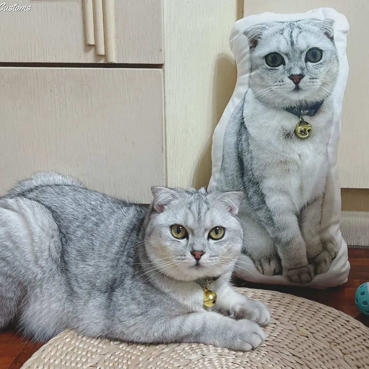 Cojín con Foto en 3D Almohada Personalizada para Mascotas Regalo para Navidad