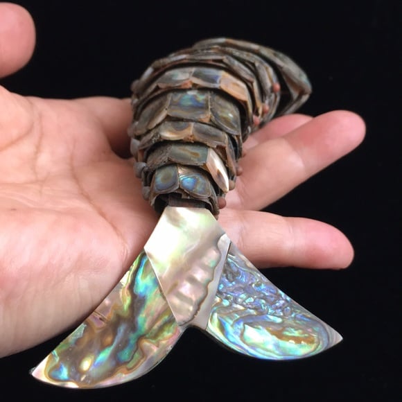 🖤 Vtg Abalone💕 Shell Bottle Opener — Vintage Charm Meets Ocean Luxury 🌊🍻